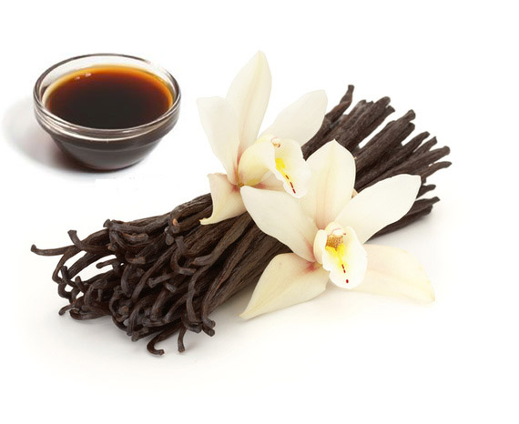 CHIẾT XUẤT VANILLA